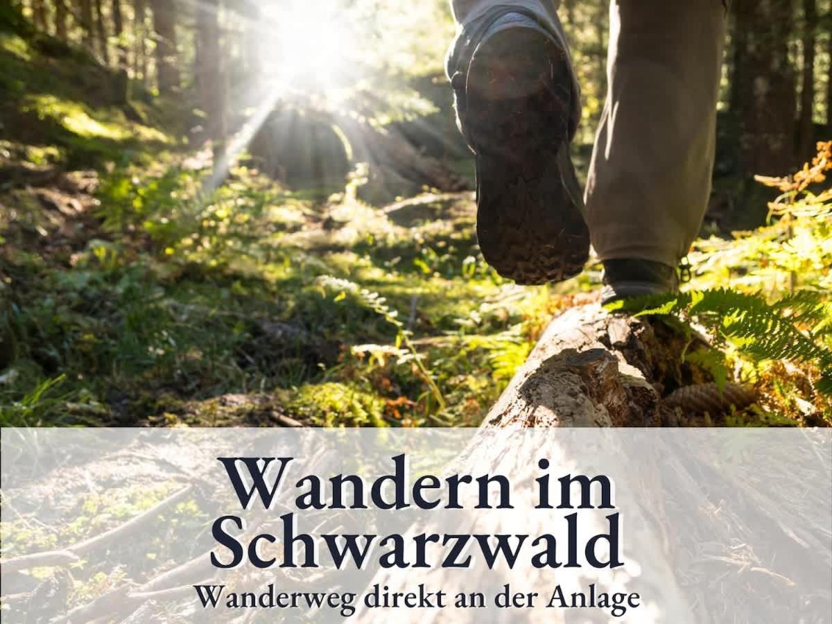 Apartment Relax-apartment 164 Mit Indoor-pool, Sauna, Kueche Und Netflix
